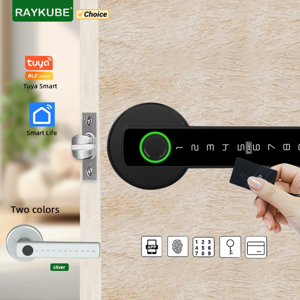 Serrure intelligente RAYKUBE M5